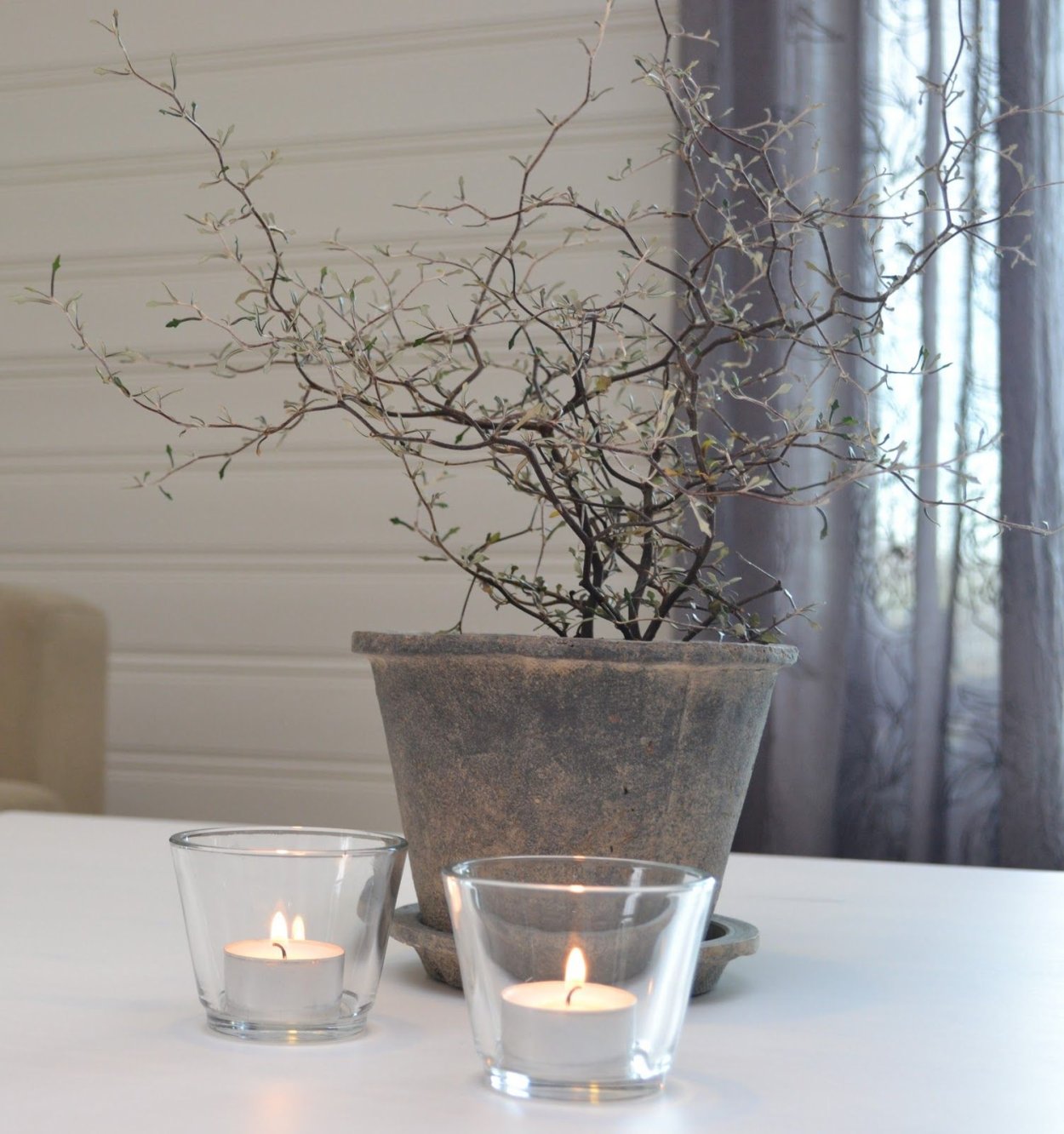 Софора Прострата