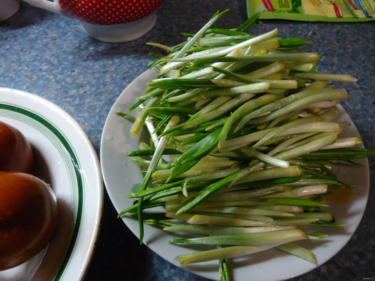 Юрка объелся черемши