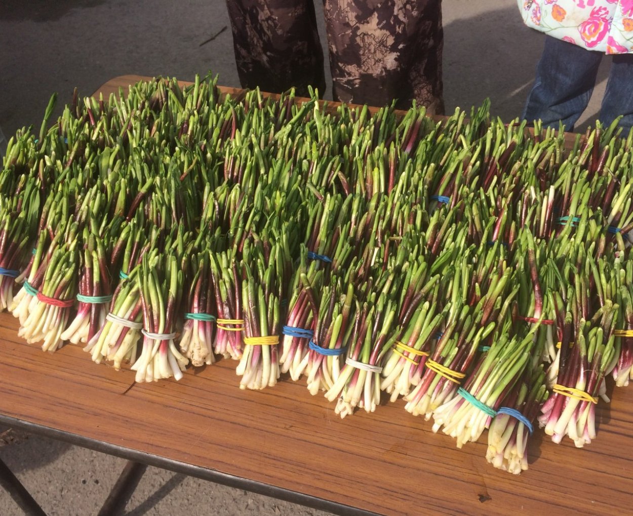 Черемша горный Алтай