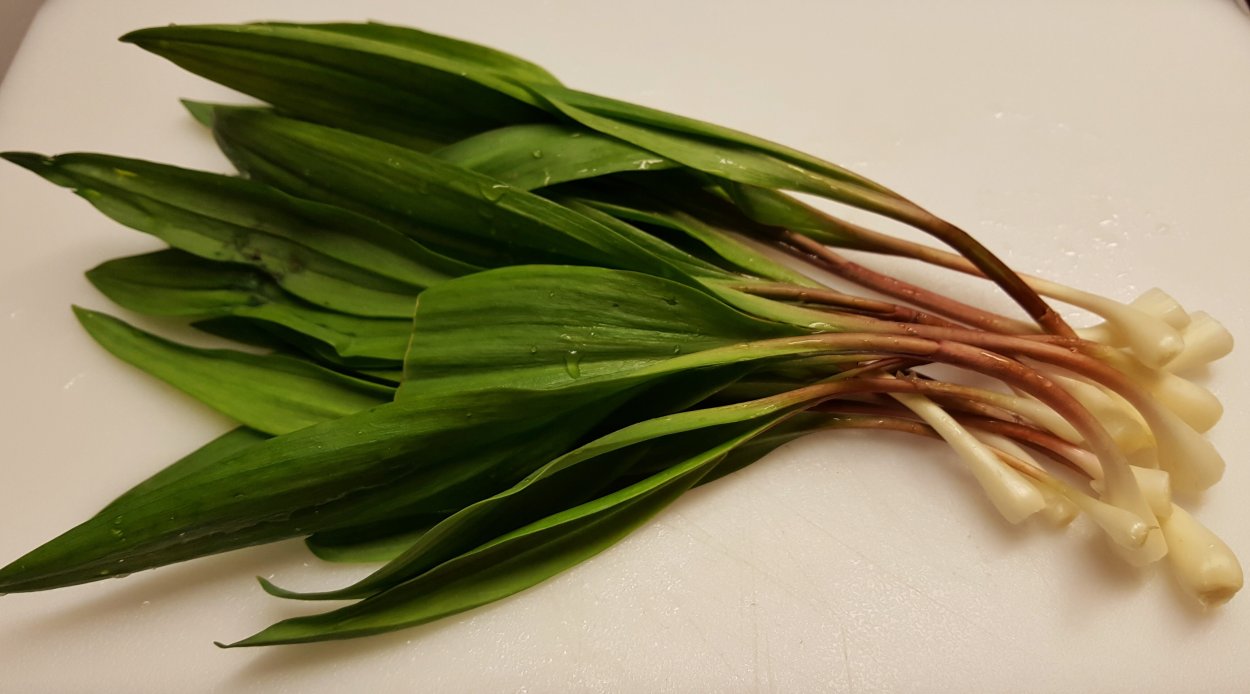 Джусай и черемша