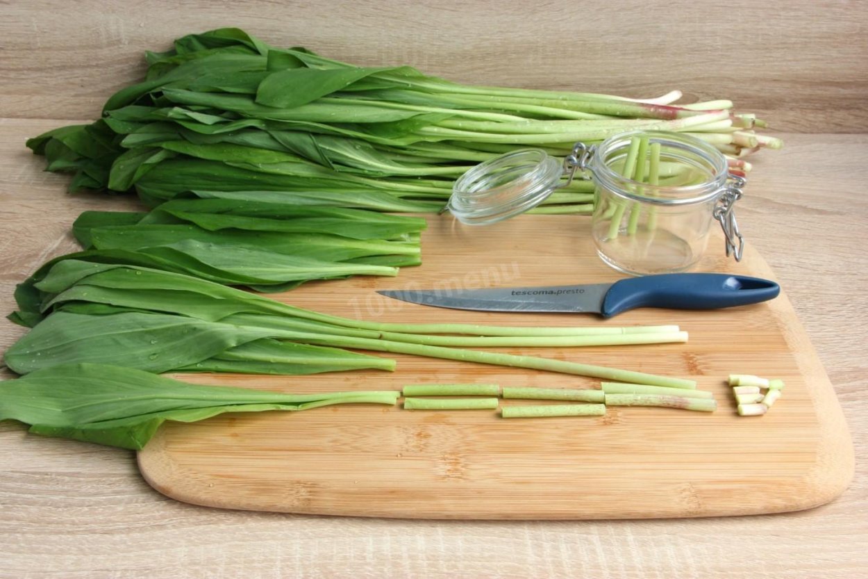 Горная черемша