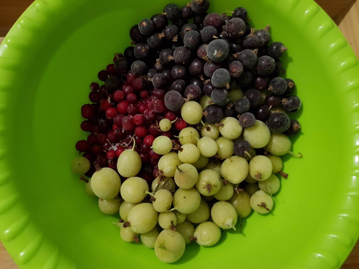 Кислица ягода