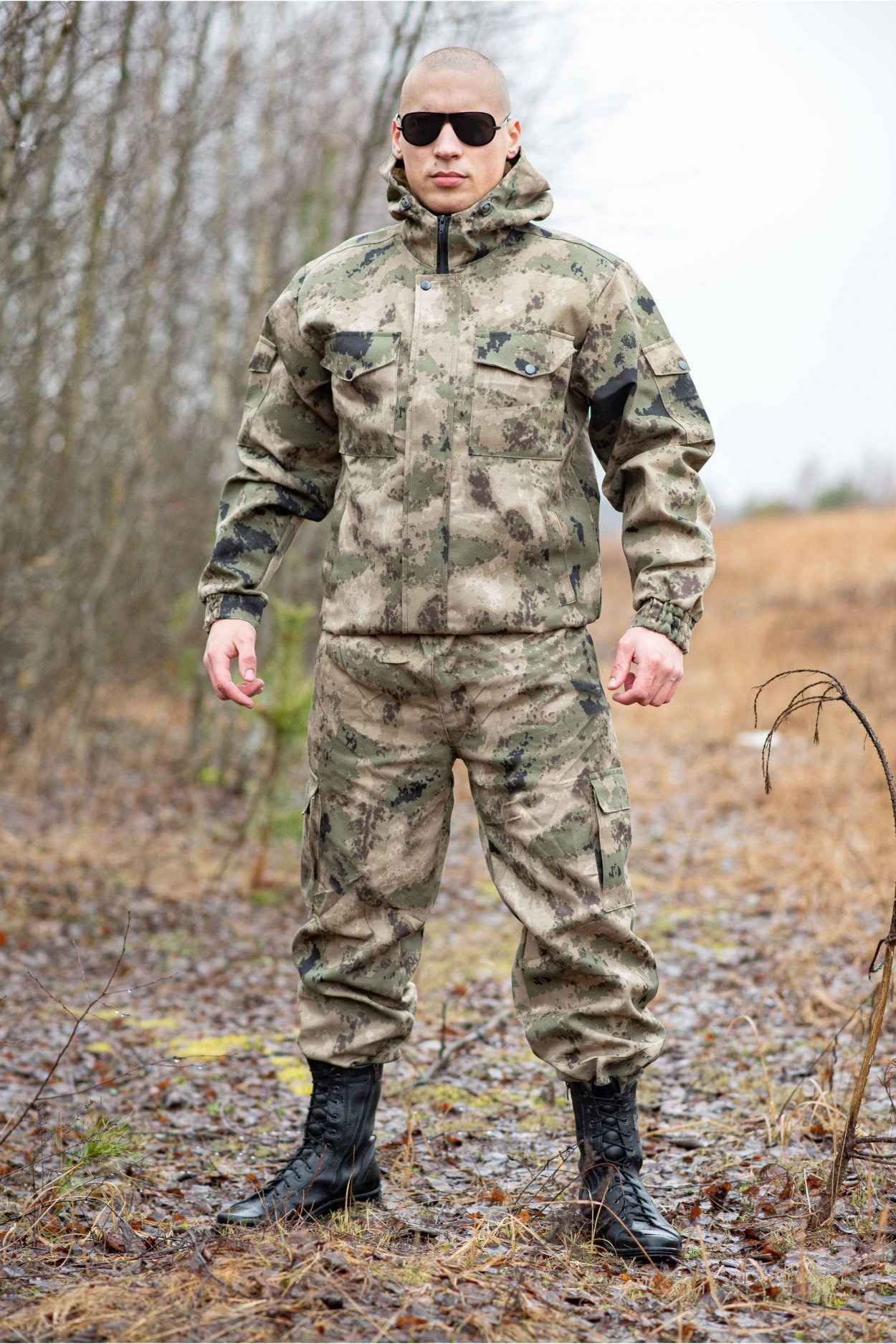 Мох в хвойном лесу