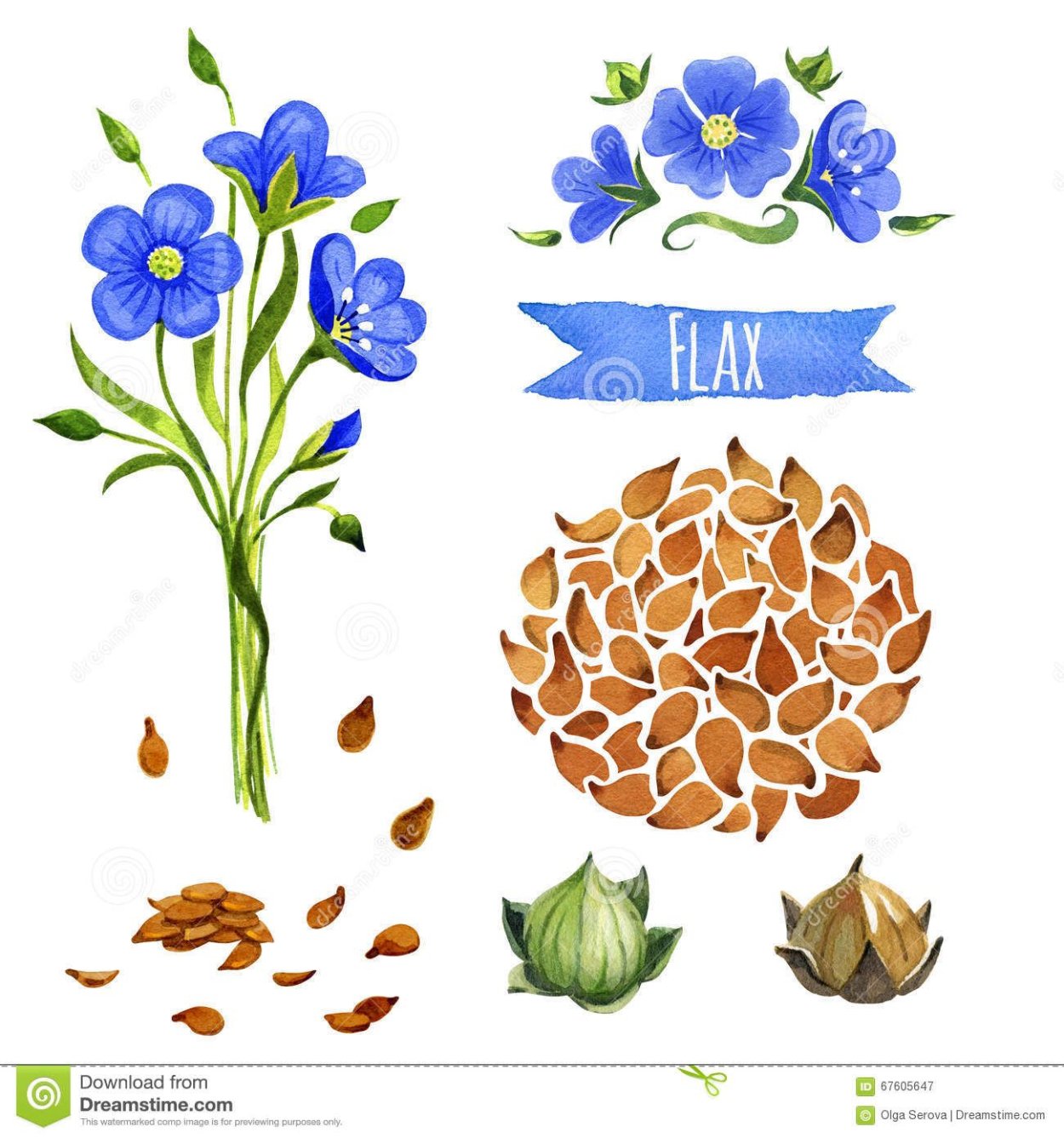 Цветок льна логотип