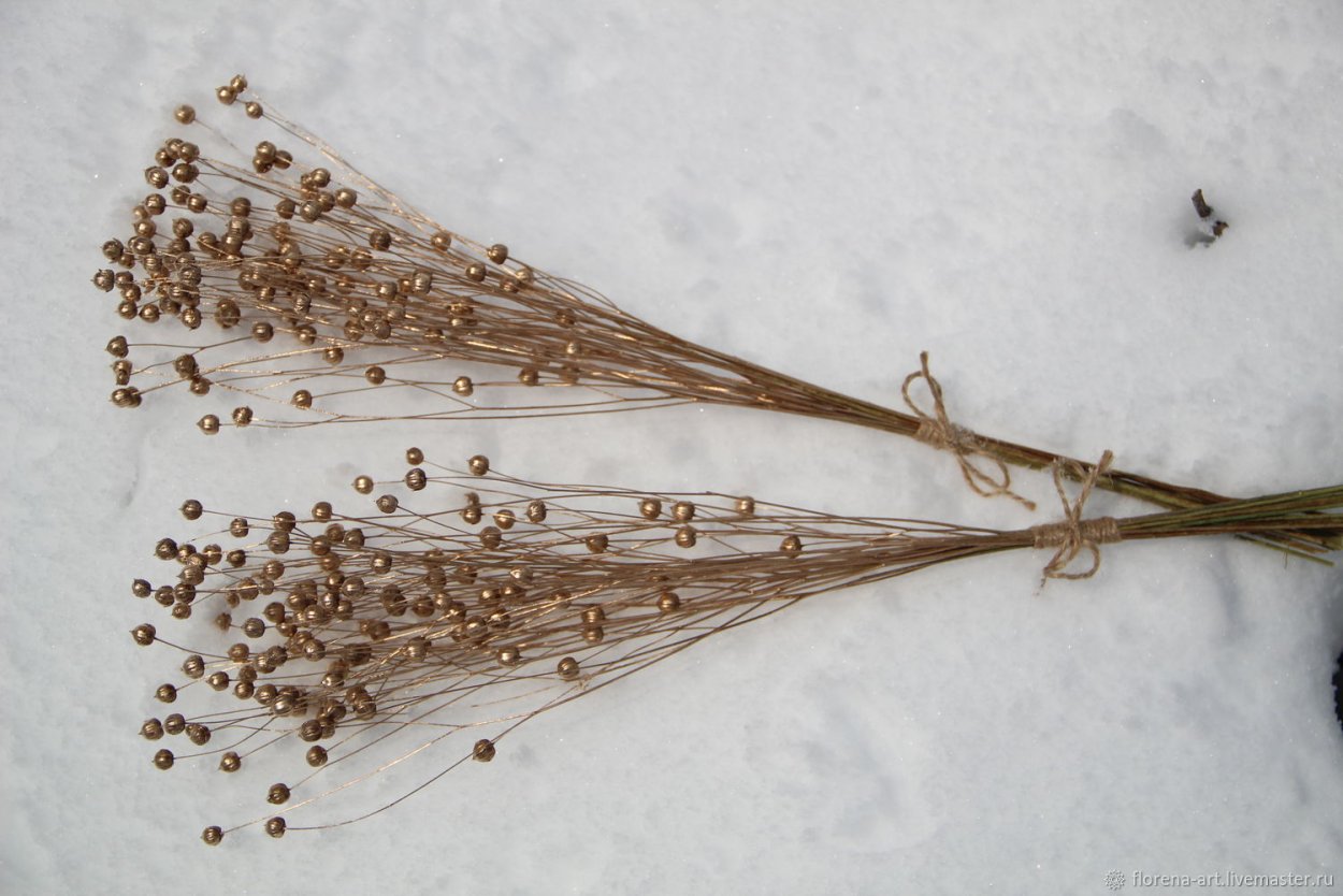 Семя льна ЛРС