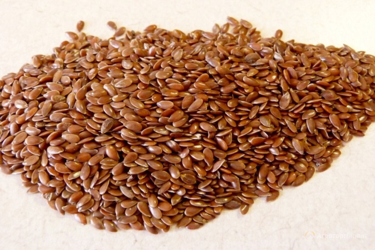 Семена льна для желудка