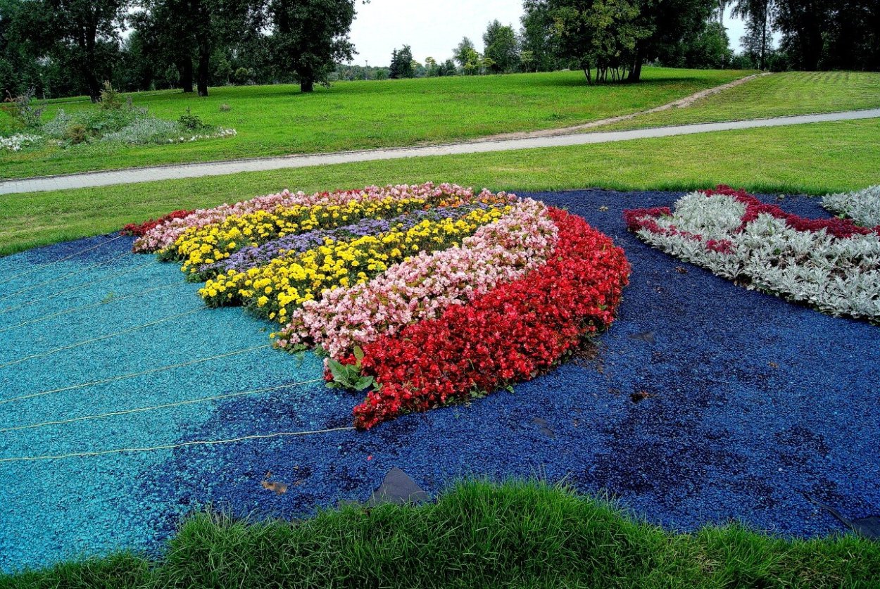 Разноцветные клумбы