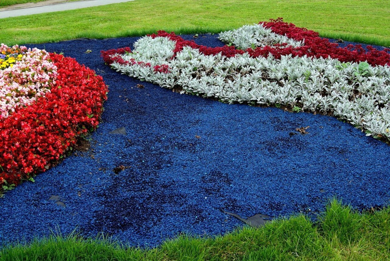 Клумба газон и цветы