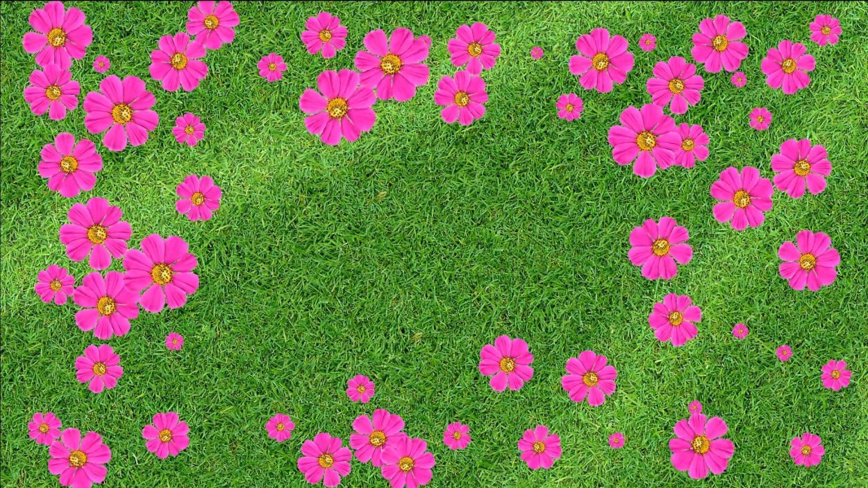 Полянка с цветочками