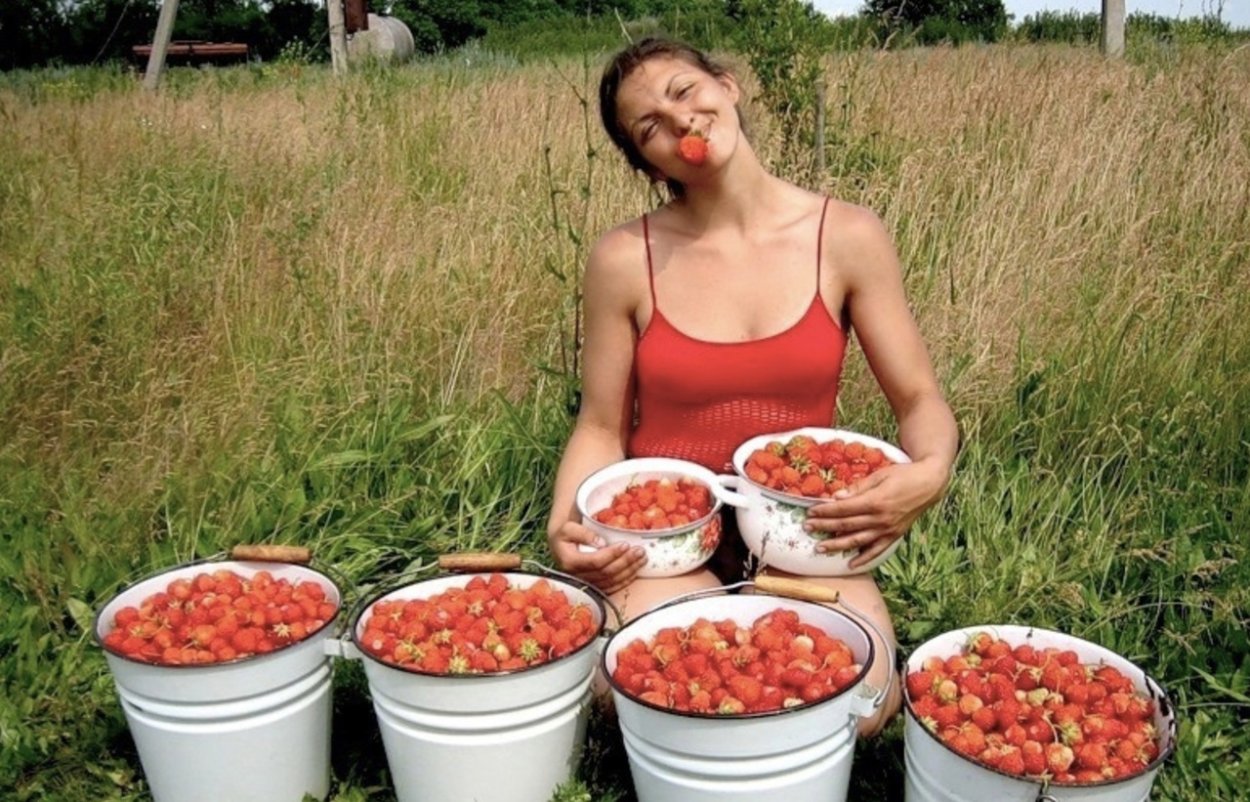 Куст клубники