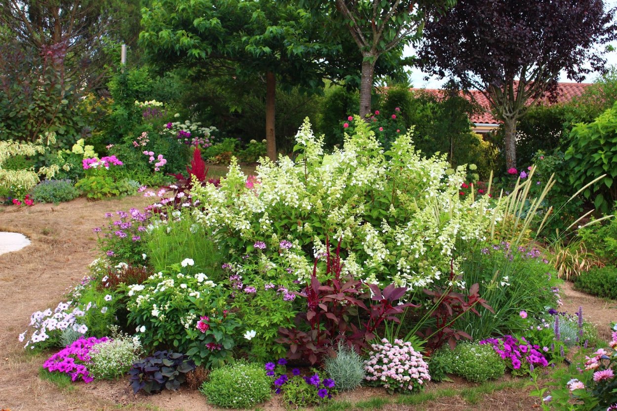 Клумба рабатка рокарий миксбордер