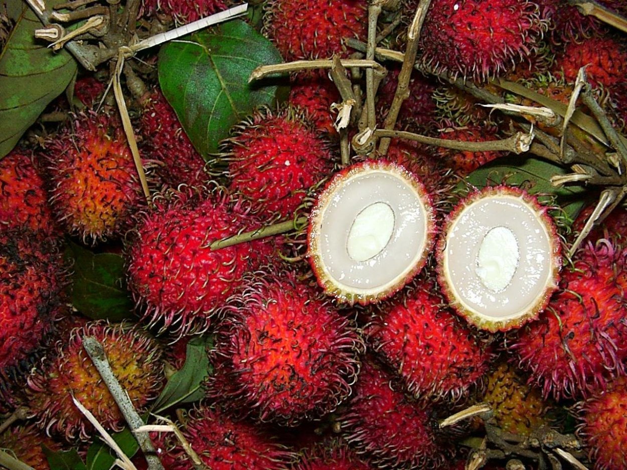 Маракуйя рамбутан