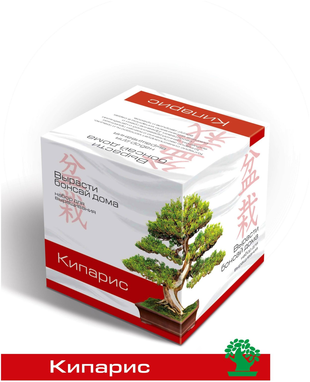 Бонсай кипарисовик купить
