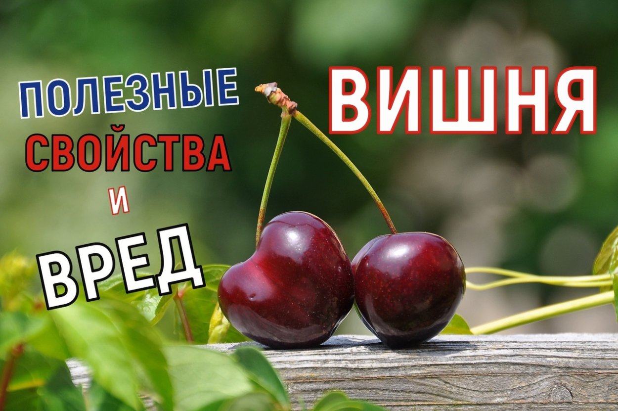 Чем полезна вишня
