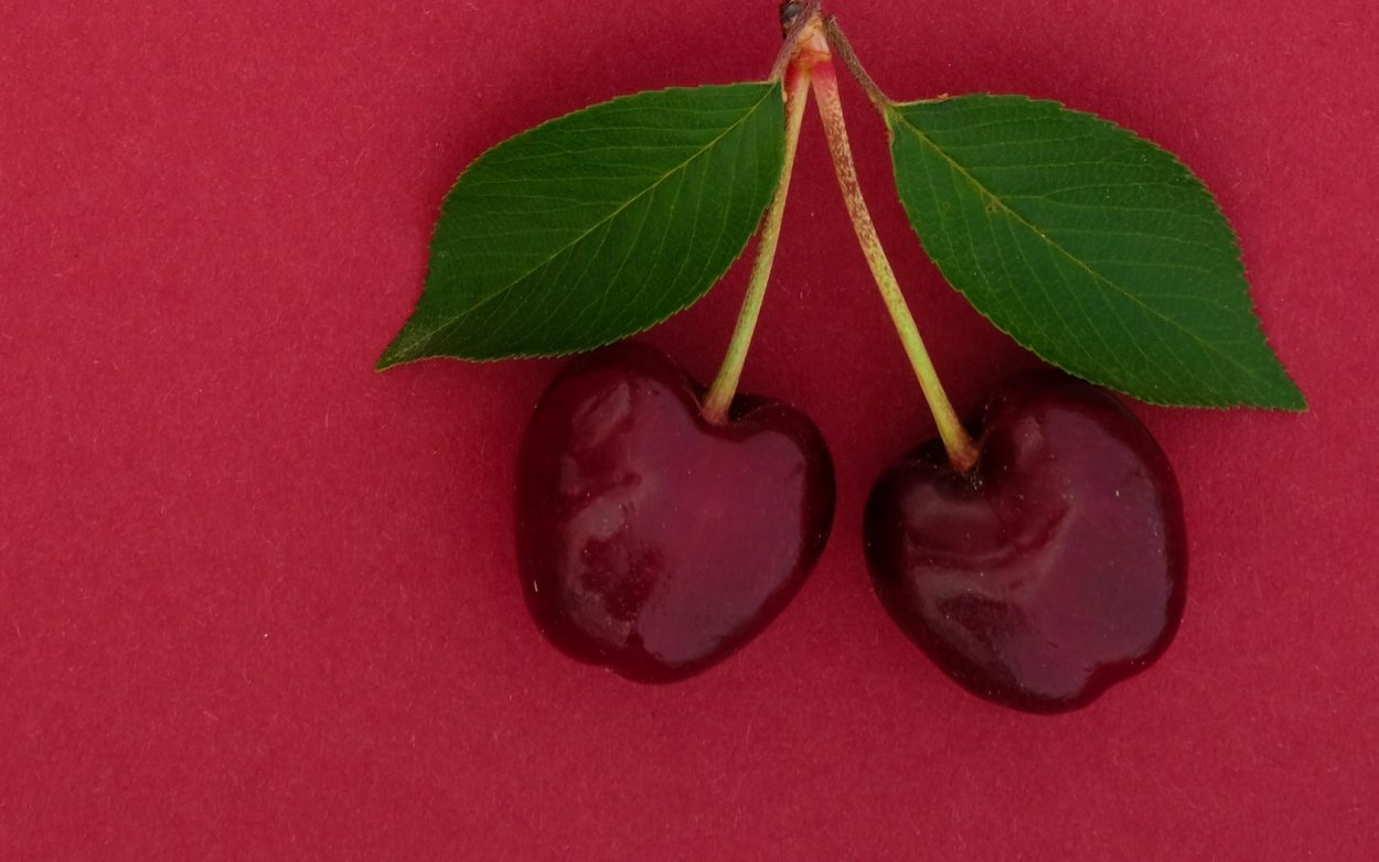 Вишня разного цвета