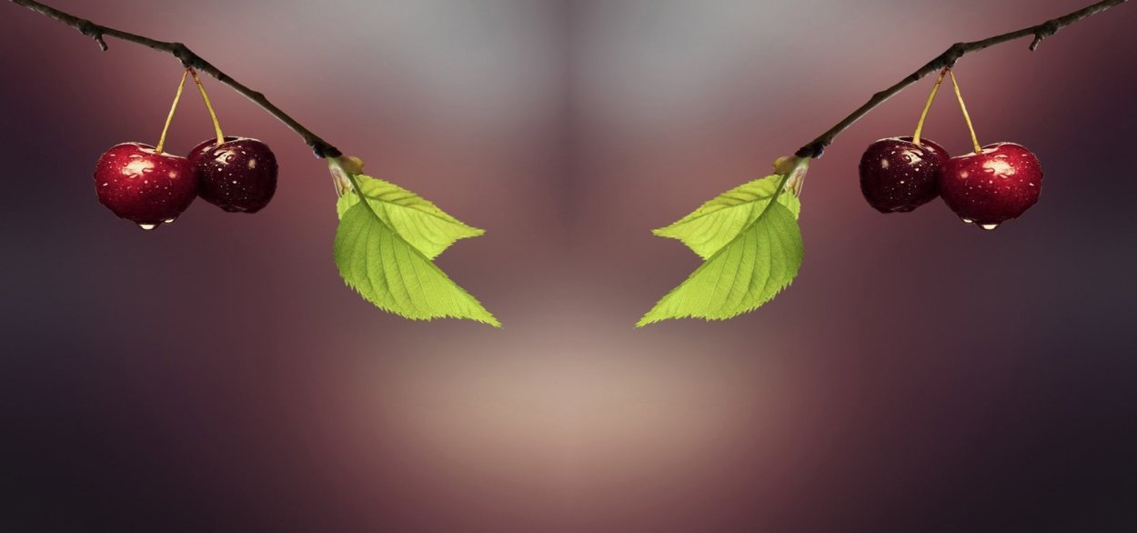 Вишня абстракция