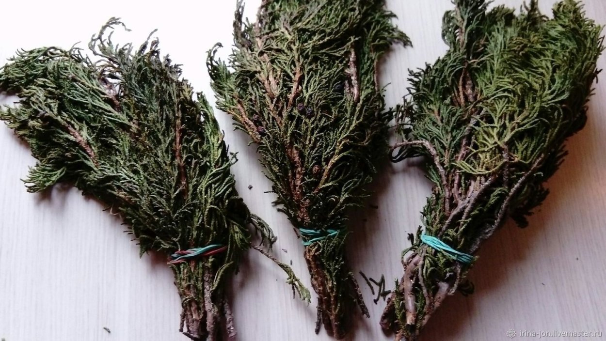 Можжевельник древовидный Крымский