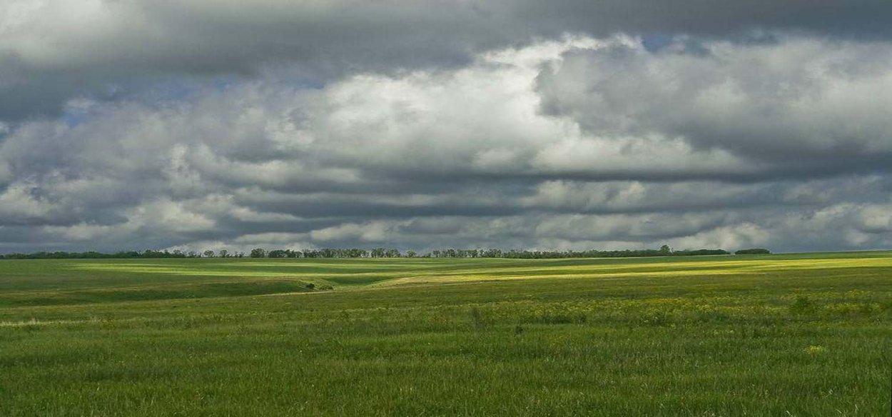 Барабинские степи Новосибирская область