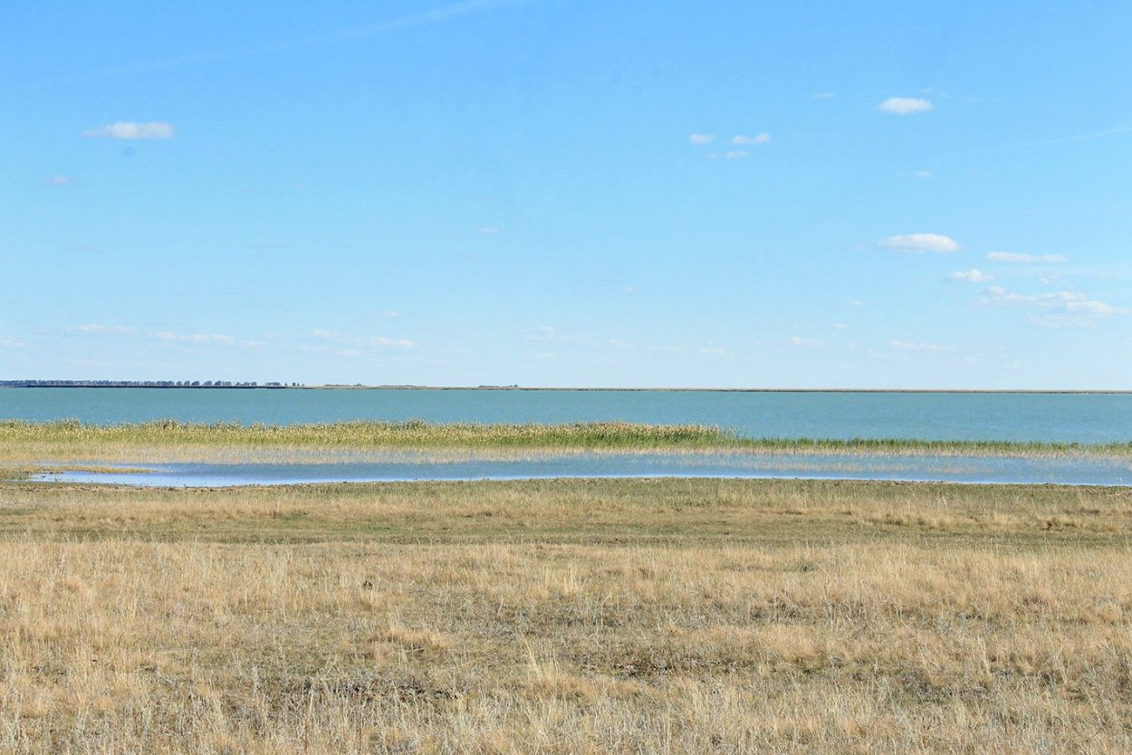 Кулундинская степь Алтайский край