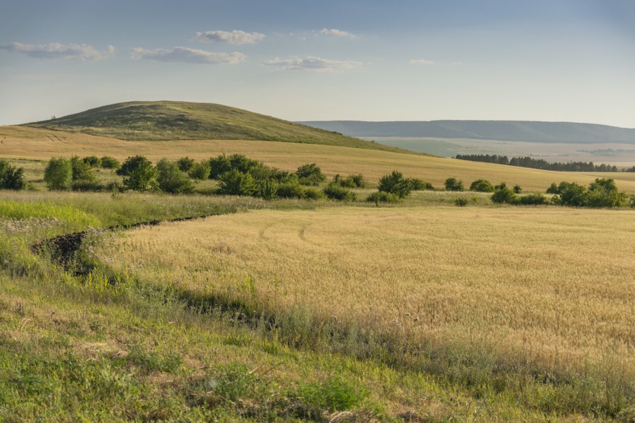 Кулундинская равнина Алтайский край