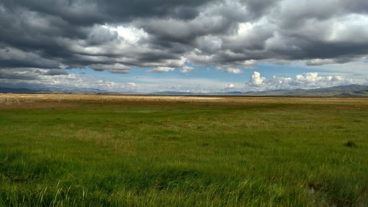 Кулундинская равнина