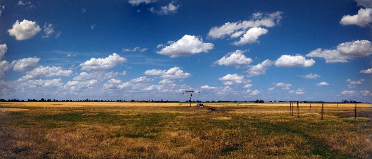 Кулундинская степь