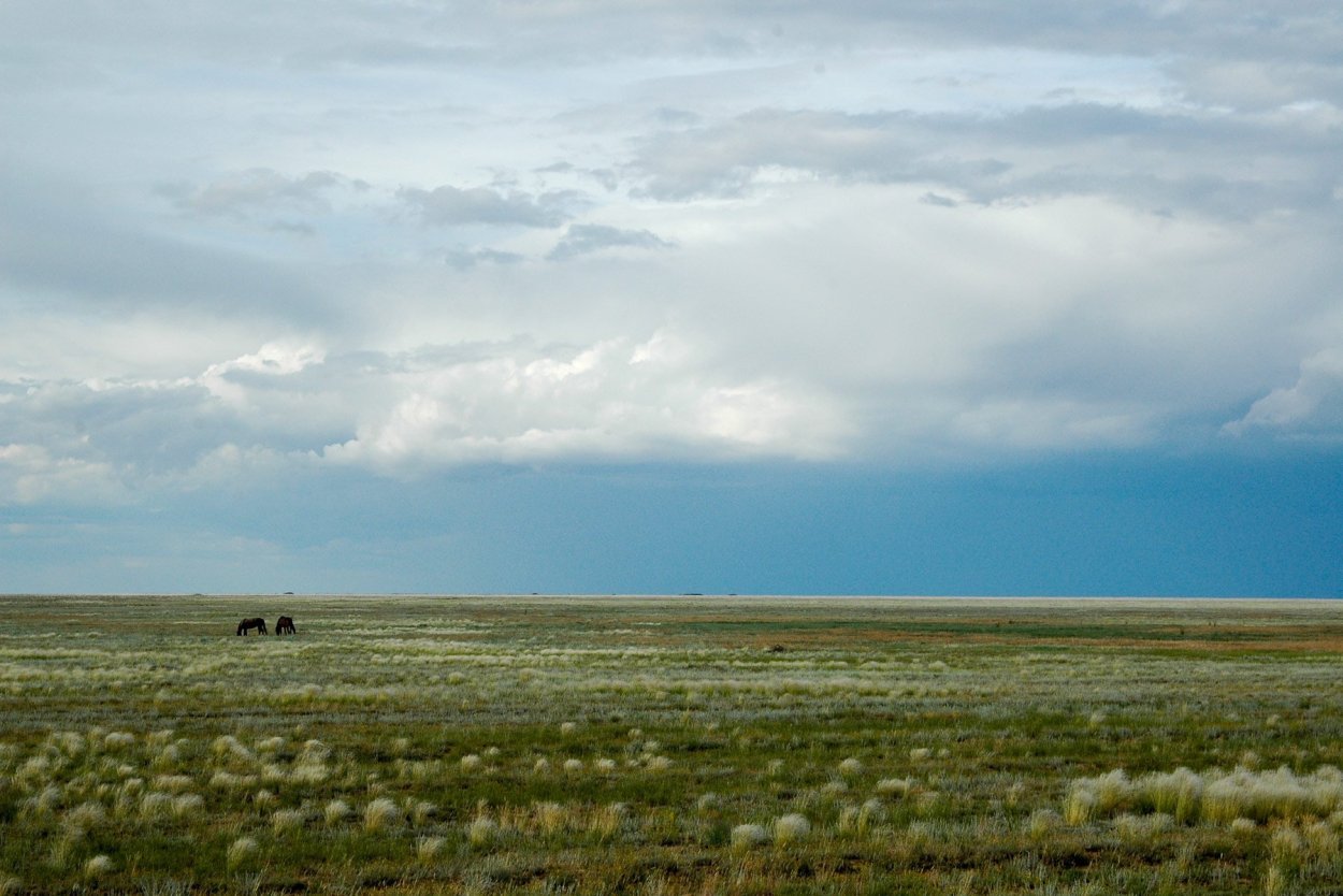 Степи Забайкалья