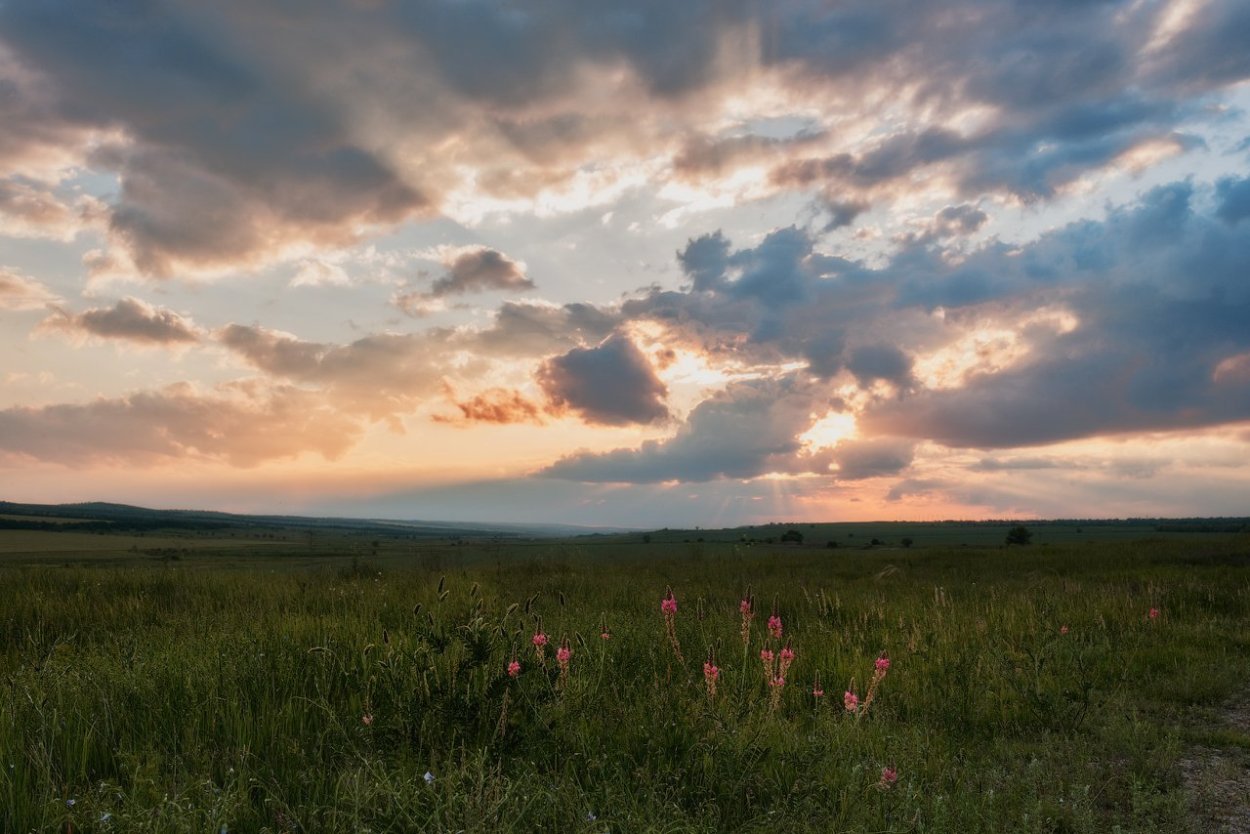 БОБОРЫКИНСКАЯ степь