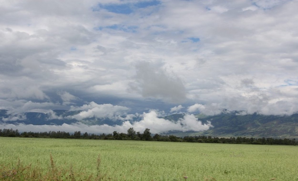 Утиное озеро Хакасия