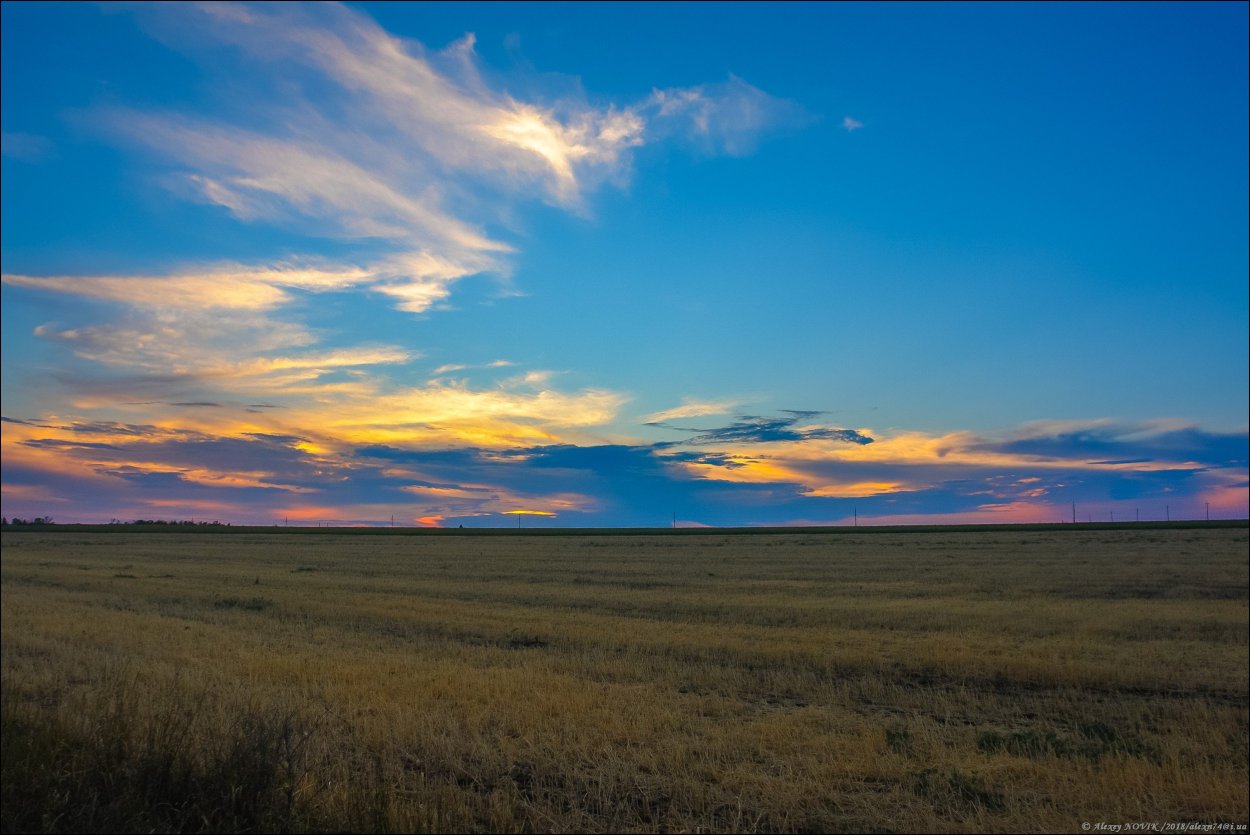 Кулундинские степи Алтайский