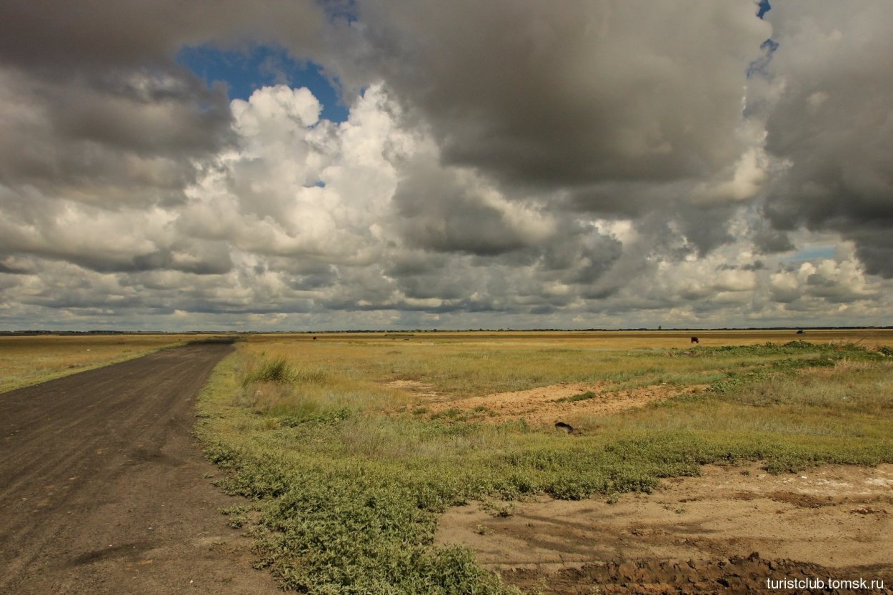 Кулундинская равнина Алтайский край