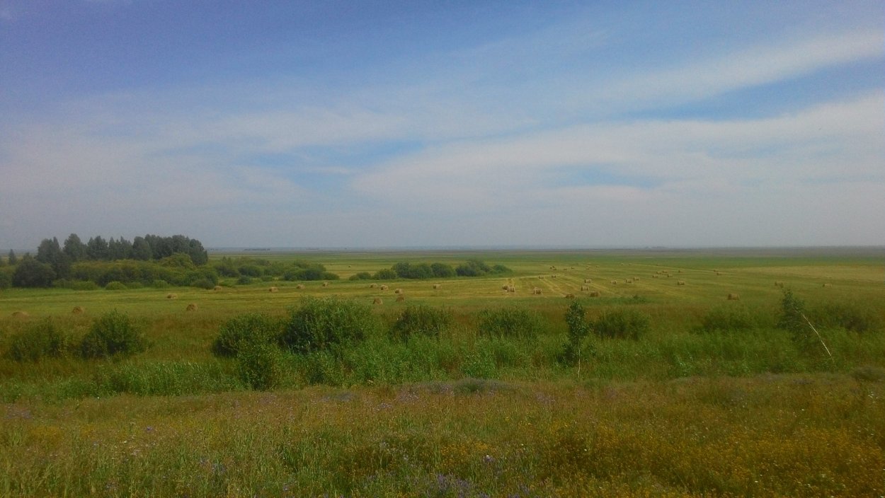 Кулундинская равнина Алтайский край