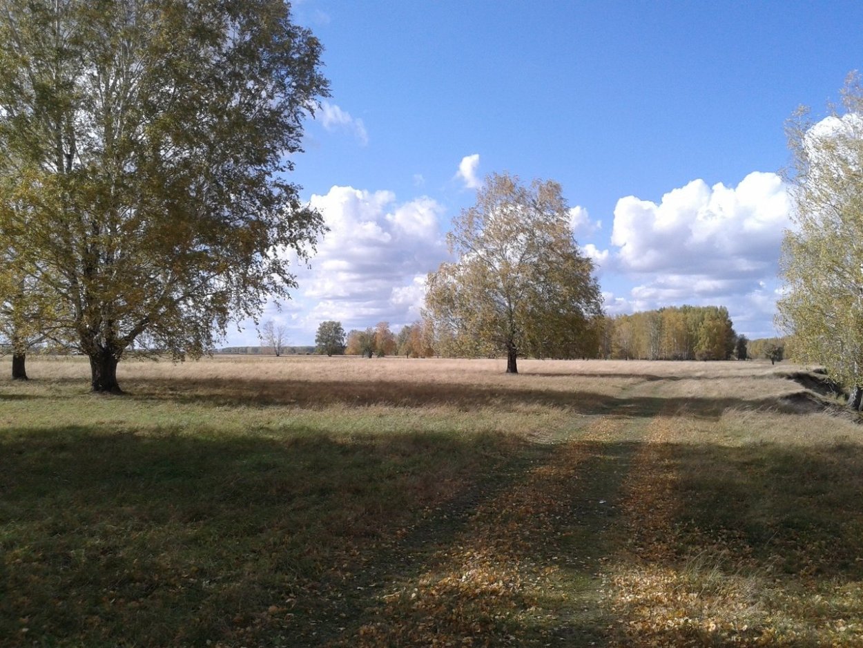 Хомутовская степь растения