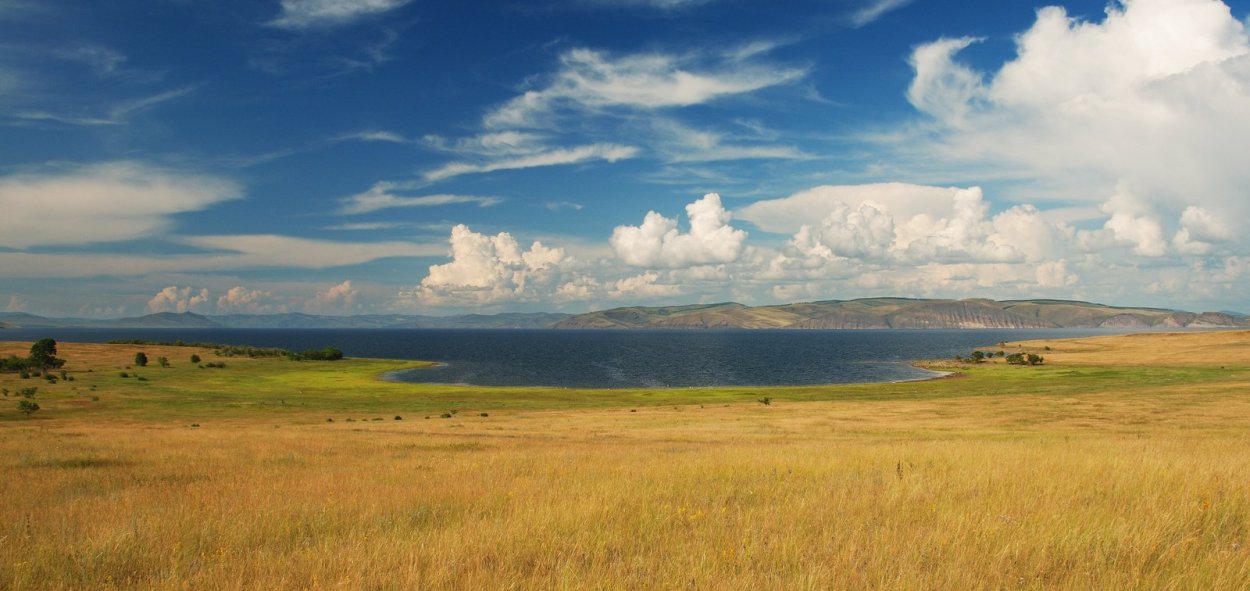 Степи и лесостепи России