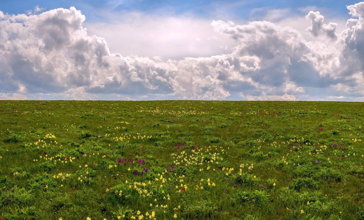 Озеро в Новосибирской области в Барабинской степи