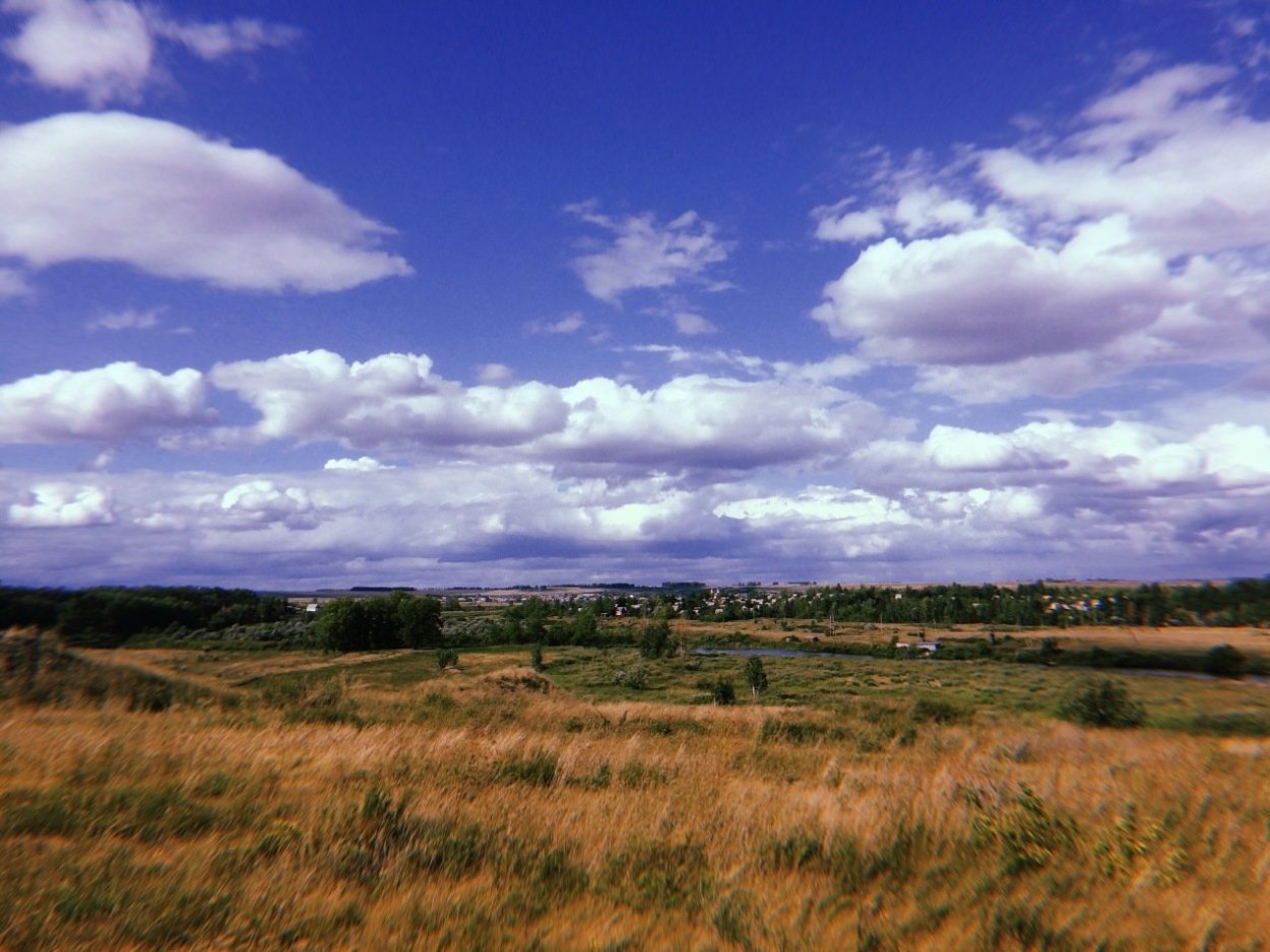 Кулундинская степь