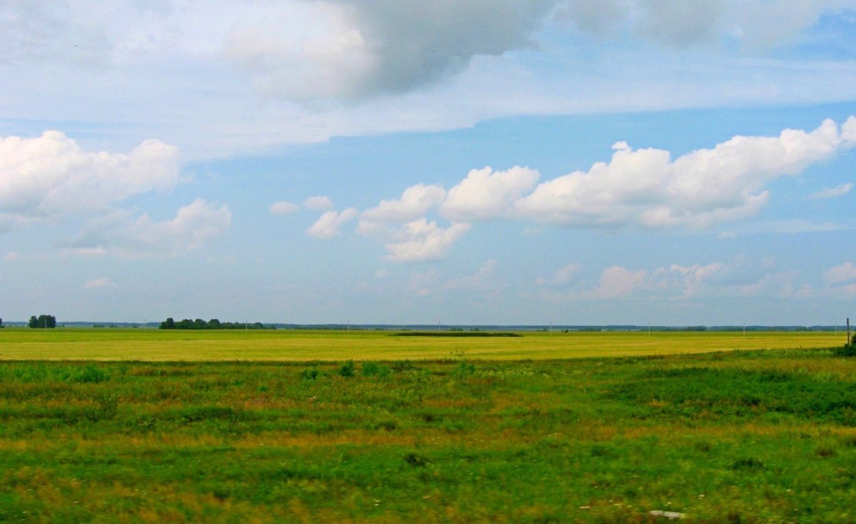 Барабинские степи Новосибирская область