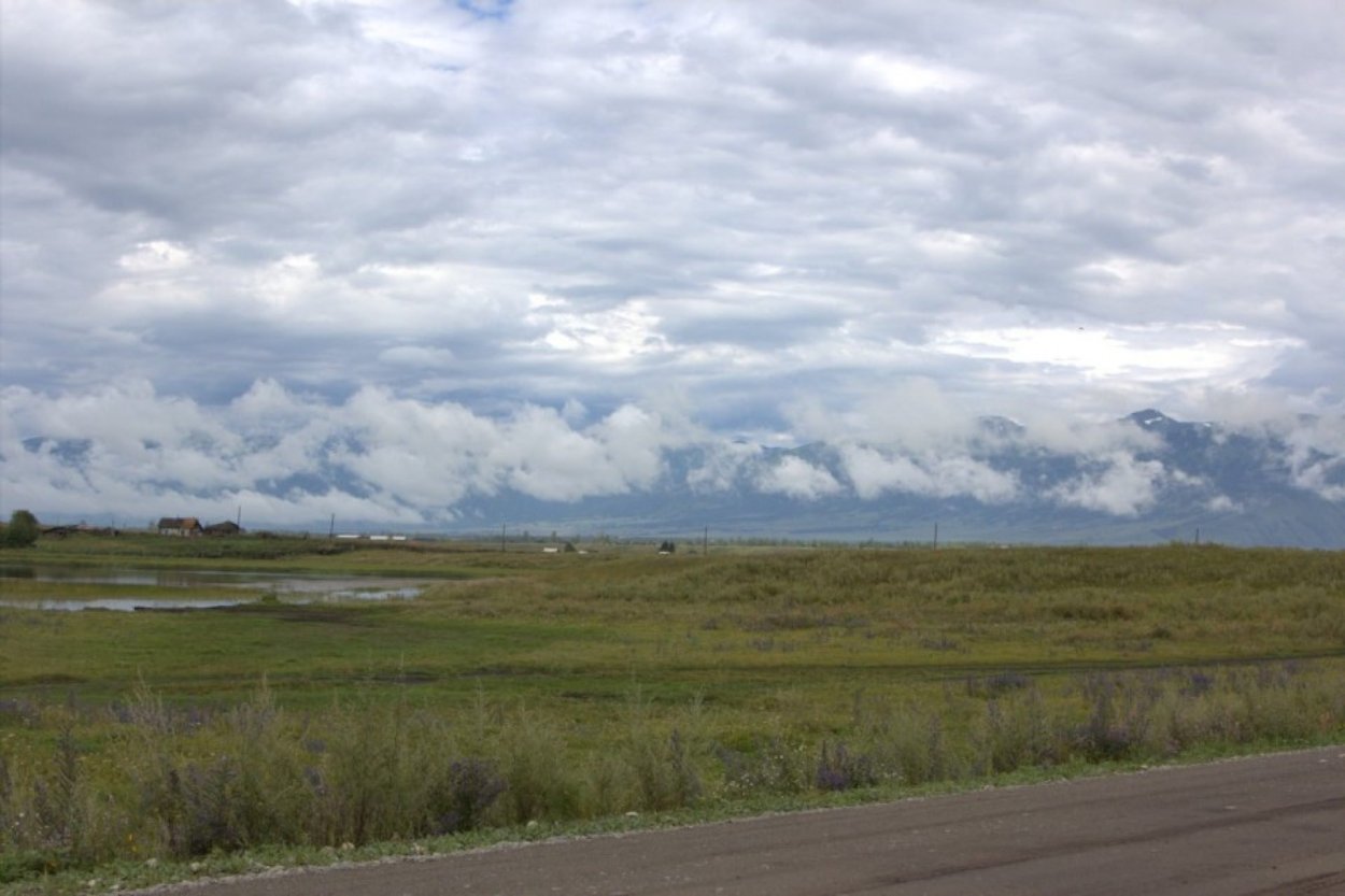 Степи Алтайского края