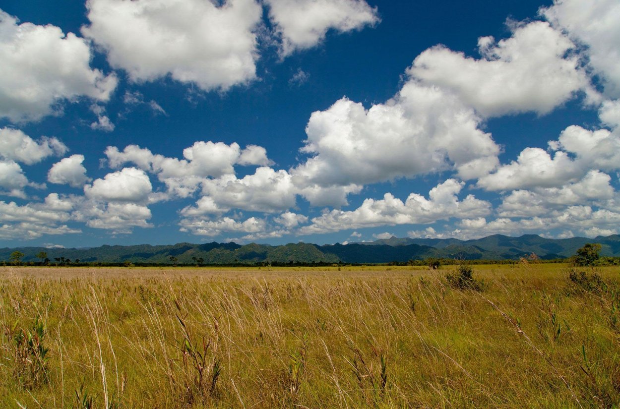 Степи Акмолинской области