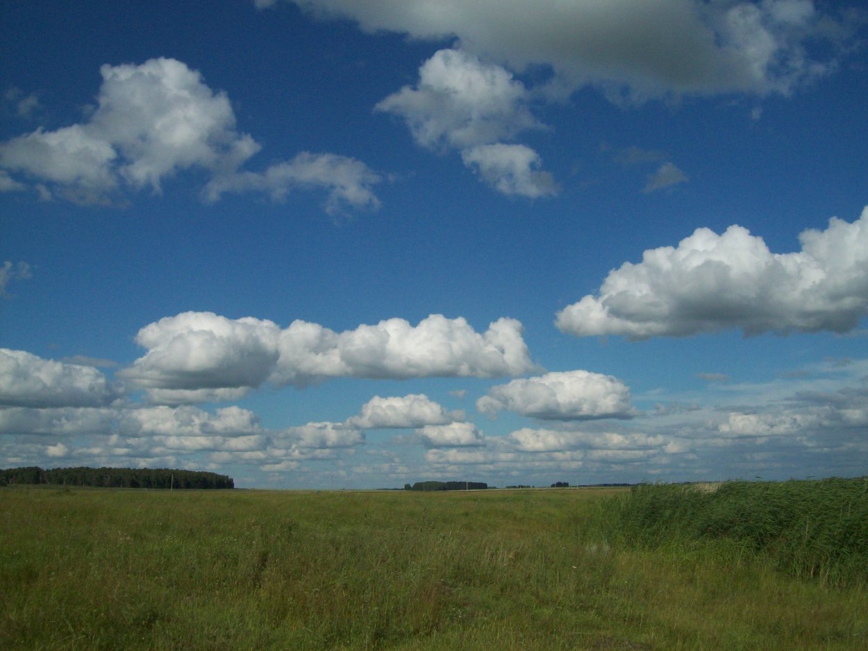 Кулундинская степь Новосибирская область