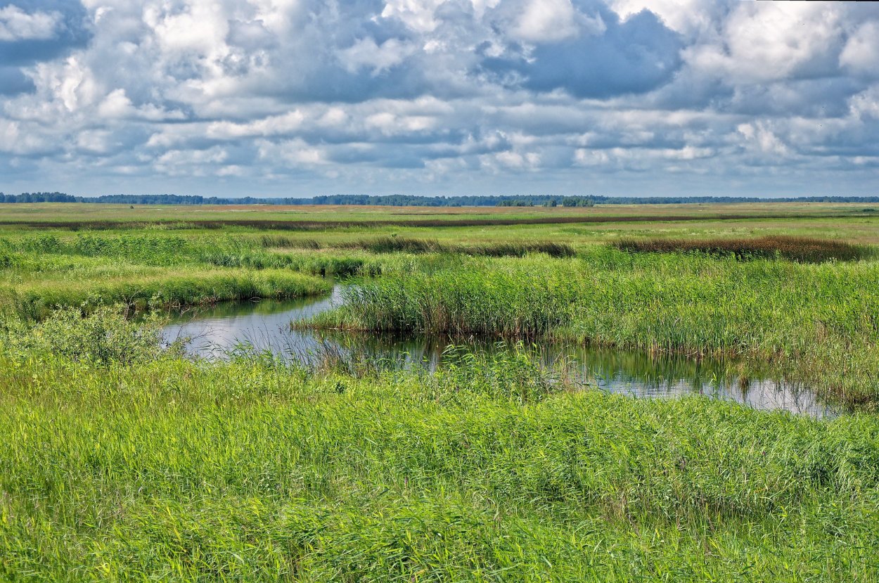 Степь Забайкальский край