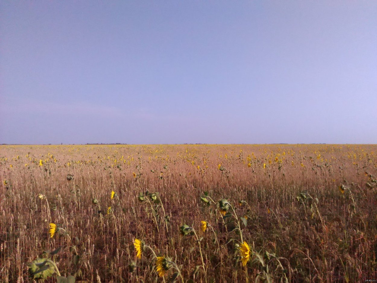 Степь Ковыльная Калмыкия