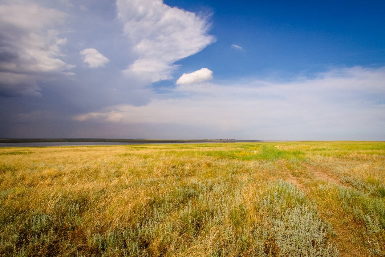 Новоярково природа