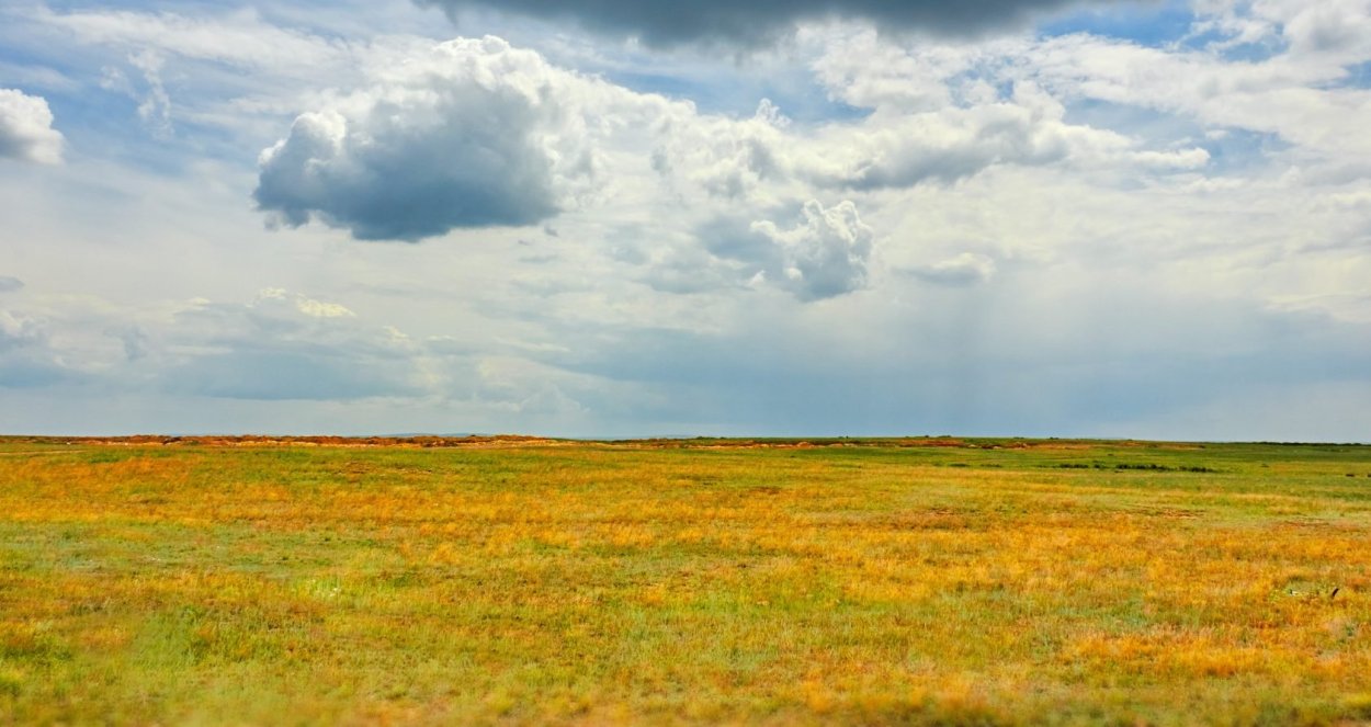Озеро Барабинская лесостепь