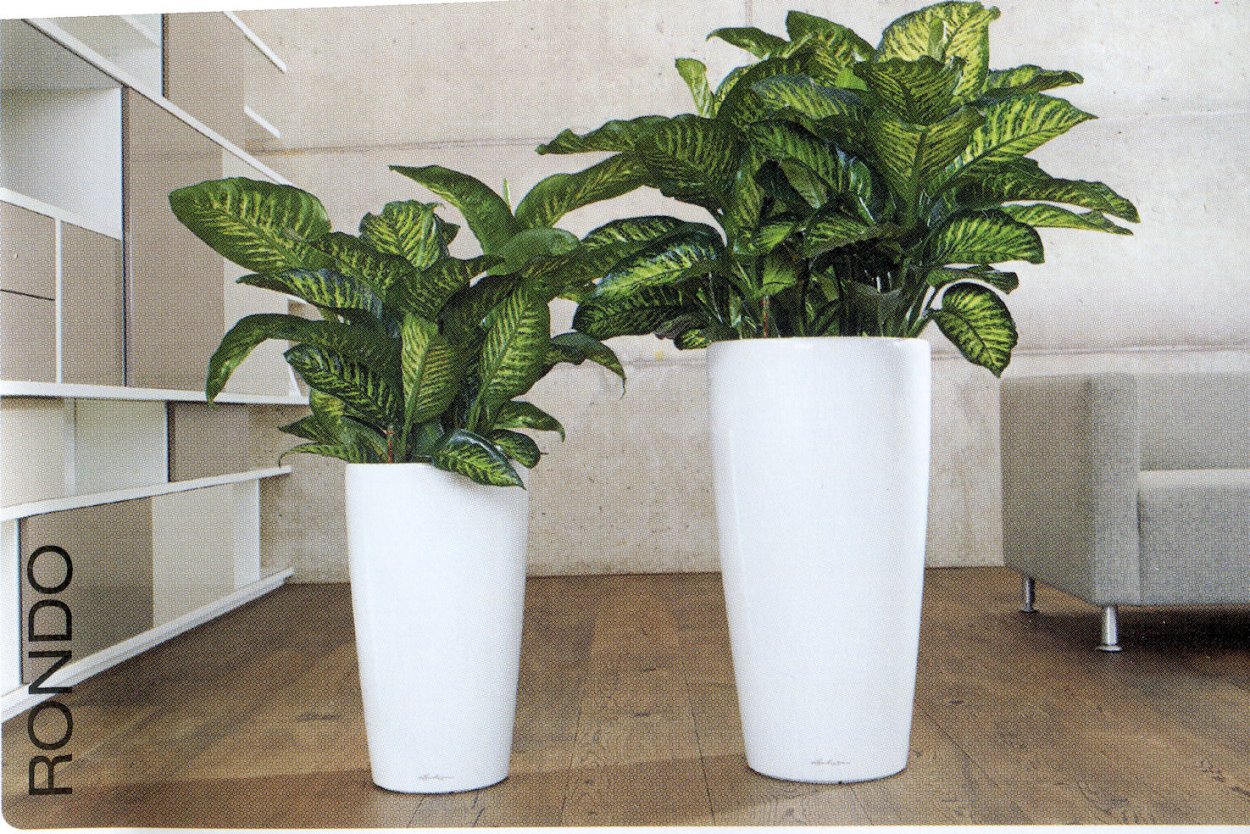 Lechuza Rondo 32 горшки