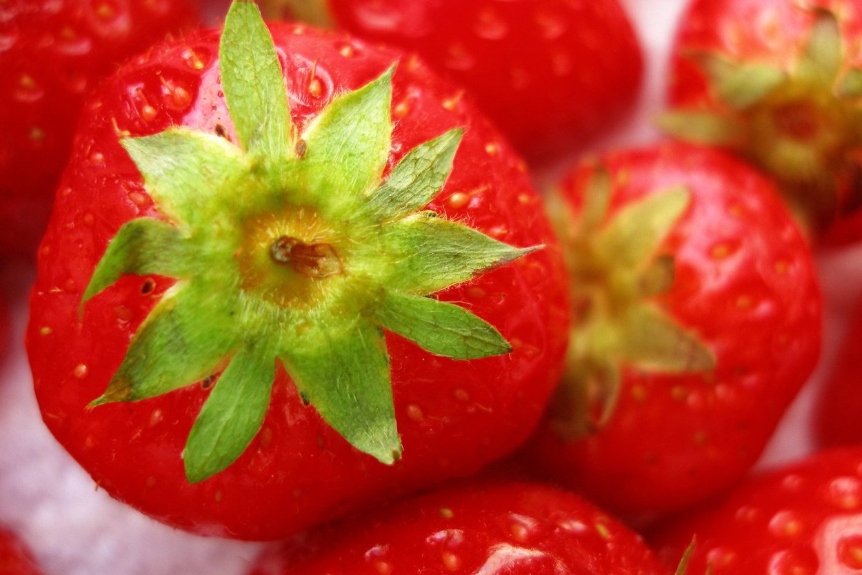 Плод земляники. 2,2 Pounds of Strawberries.