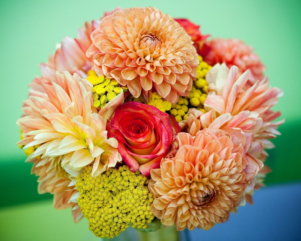 Букеты георгины и хризантемы