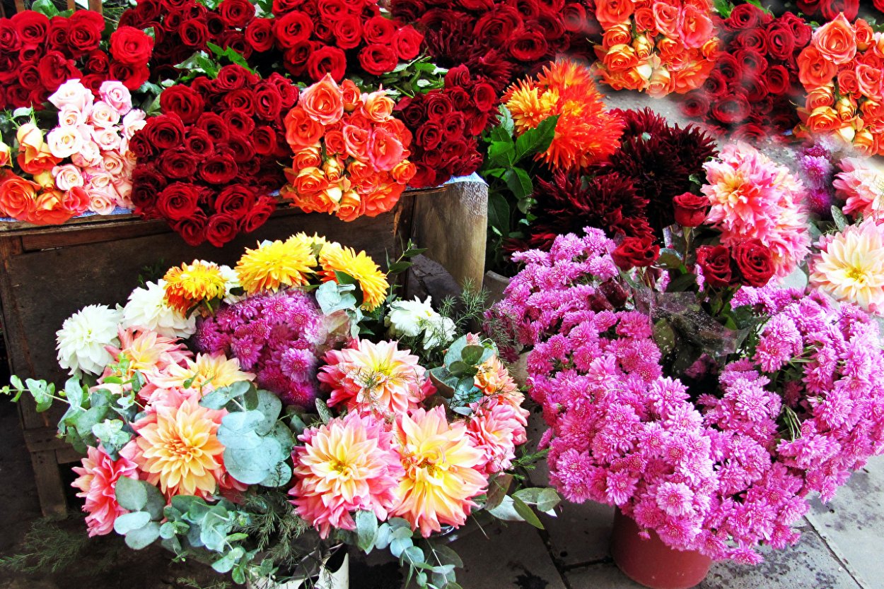 Tyrell New георгин