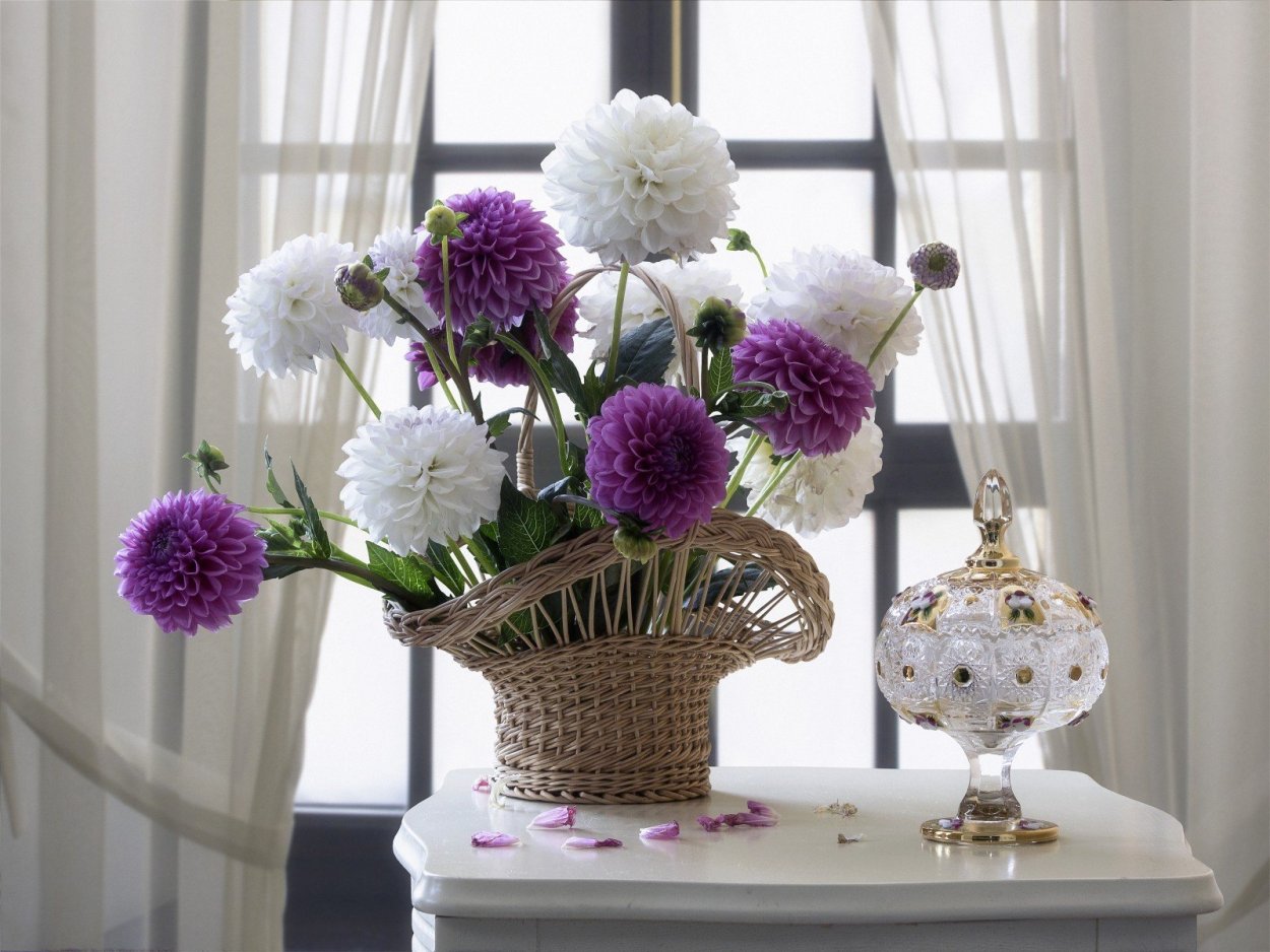 Букет астры и хризантемы