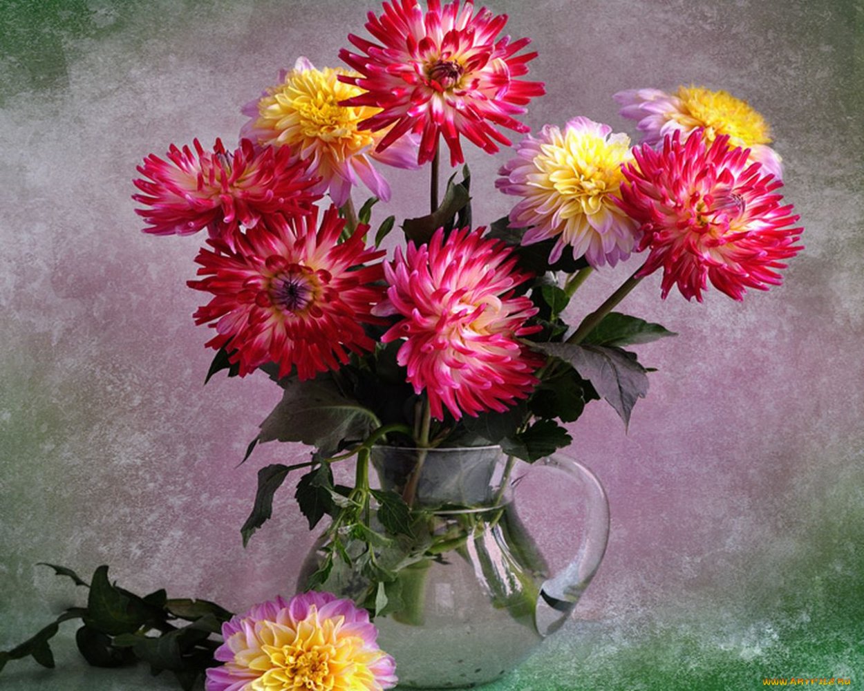 Август — астры, август — звезды, август — грозди